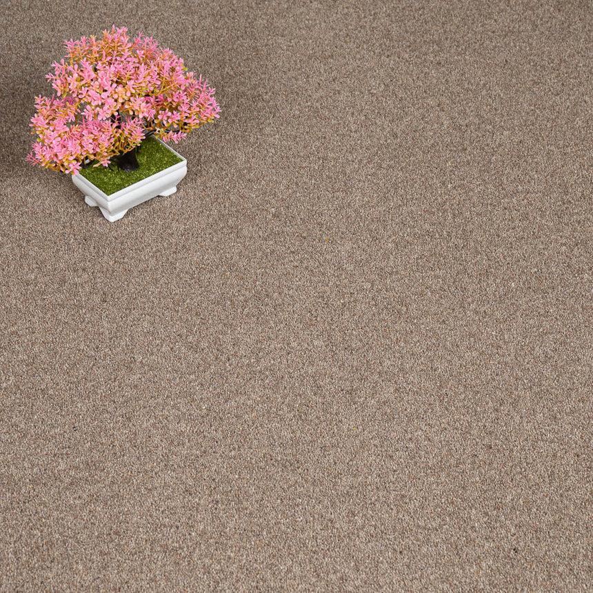 Rushford Rye Woodland Heather 55oz Twist Deluxe Carpet by Cormar