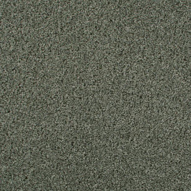 Rustic Green 229 Dublin Heather Twist Actionback Carpet Clearance