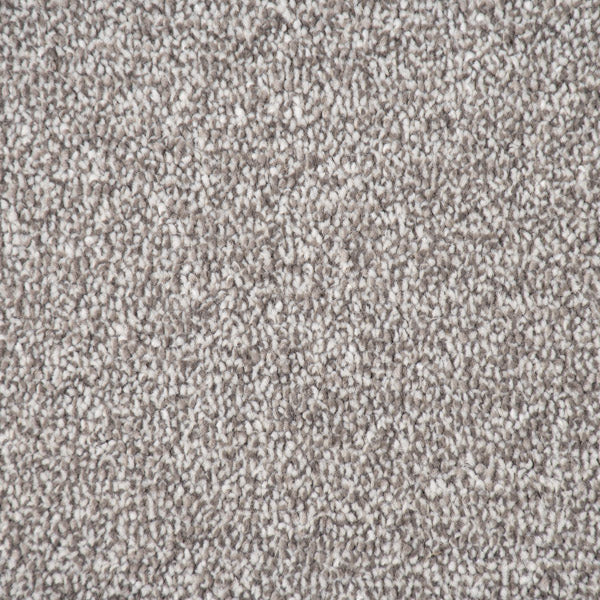 Sable Coast Twist Carpet Clearance