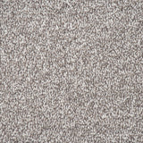 Sable Coast Twist Carpet Clearance