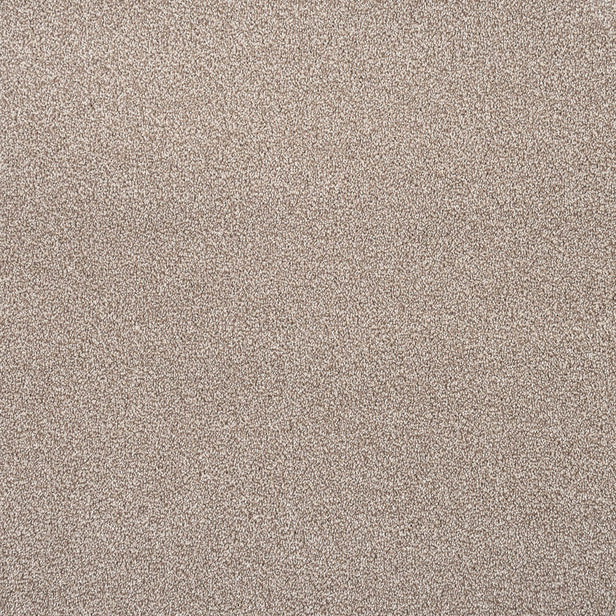 Sable Sensation Heathers 60oz Carpet by Cormar