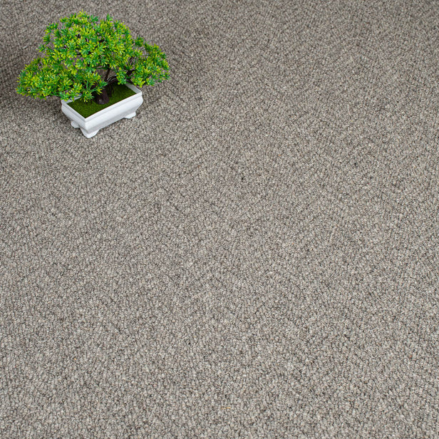 Sabre Royal Sterling Wool Loop Carpet by Abingdon