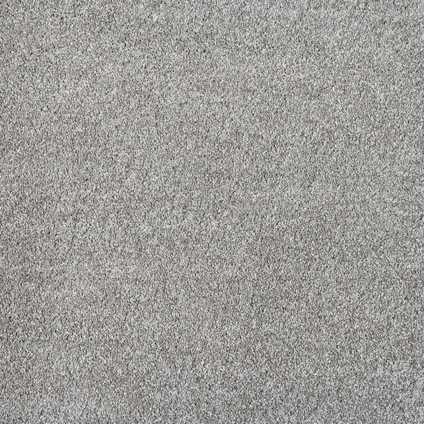 Safari 49 Dorado 56oz Invictus Gaia Carpet