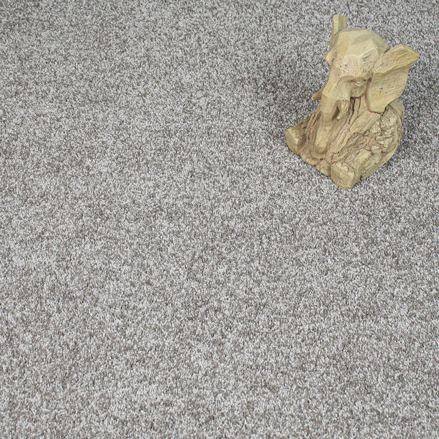 Safari 49 Dorado 56oz Invictus Gaia Carpet