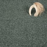 Sage Green 27 Dorado 56oz Invictus Gaia Carpet