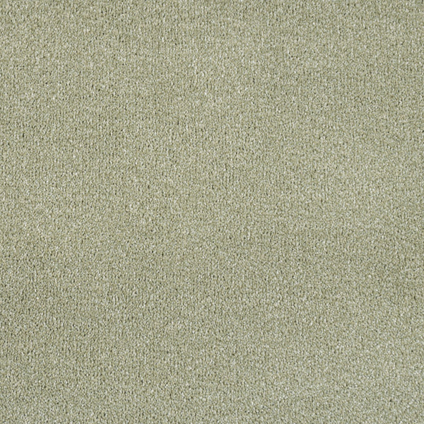 Sage Green 40 Alps Twist Carpet