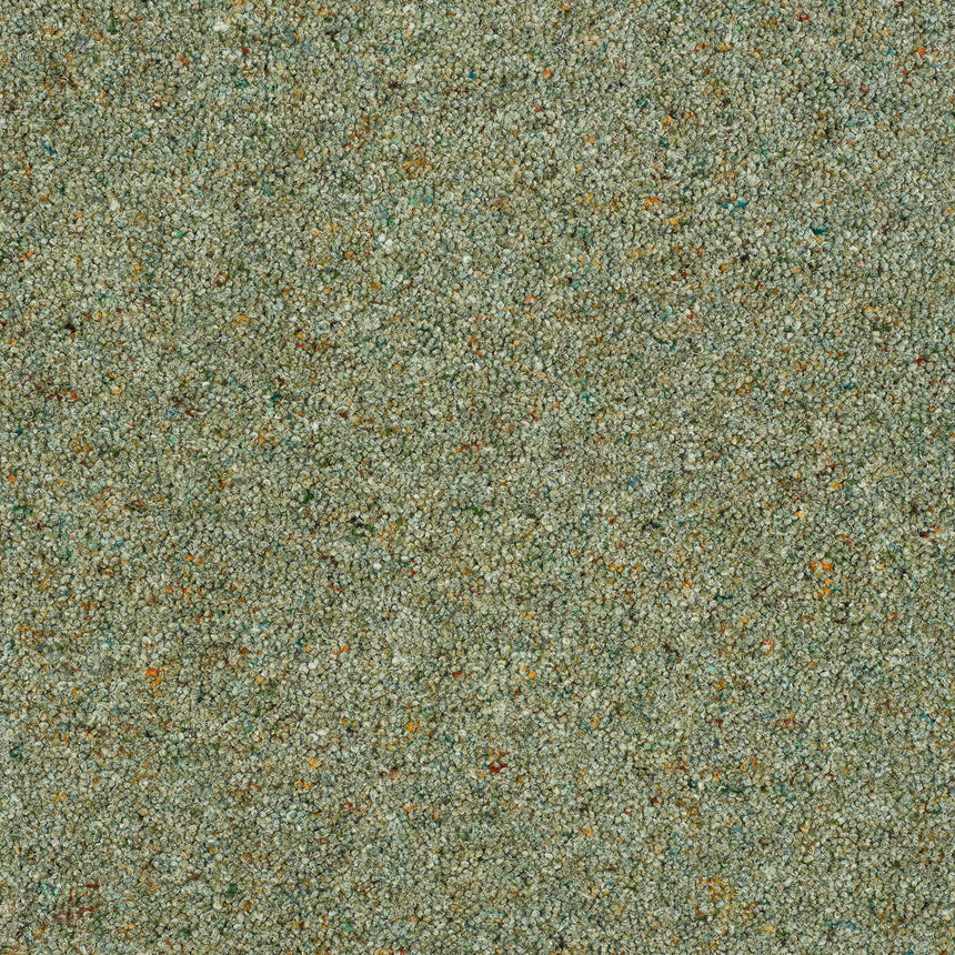 Royal Windsor Charter Berber Deluxe Carpet by Abingdon