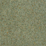 Royal Windsor Charter Berber Deluxe Carpet by Abingdon