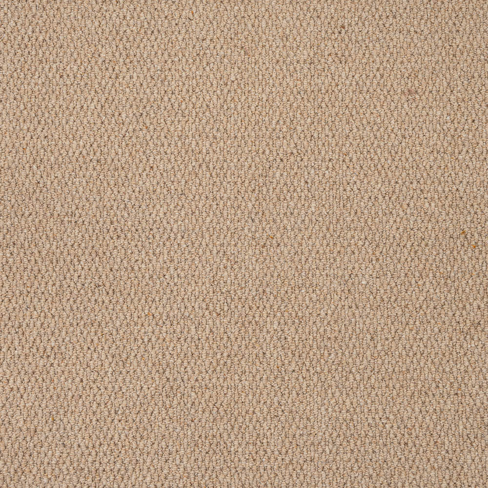 Sahara Malabar Two Fold Wool Carpet | Cormar Carpets | Online Carpets
