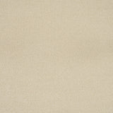 Sand Dune Silken Serenity Carpet by Cormar