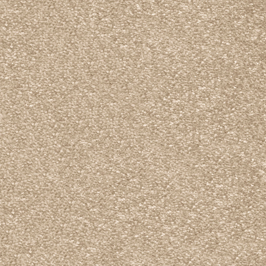 Sandcastle 35 Centurion Invictus Carpet