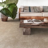 Sandcastle 35 Centurion Invictus Carpet