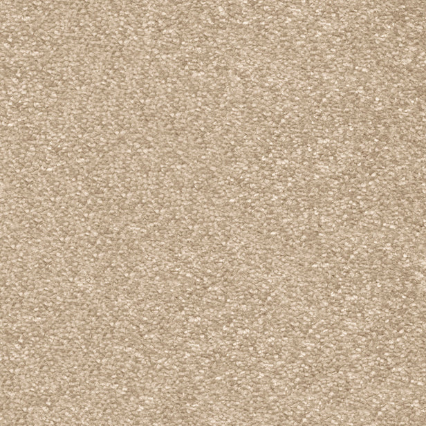 Sandcastle 35 Centurion Invictus Carpet