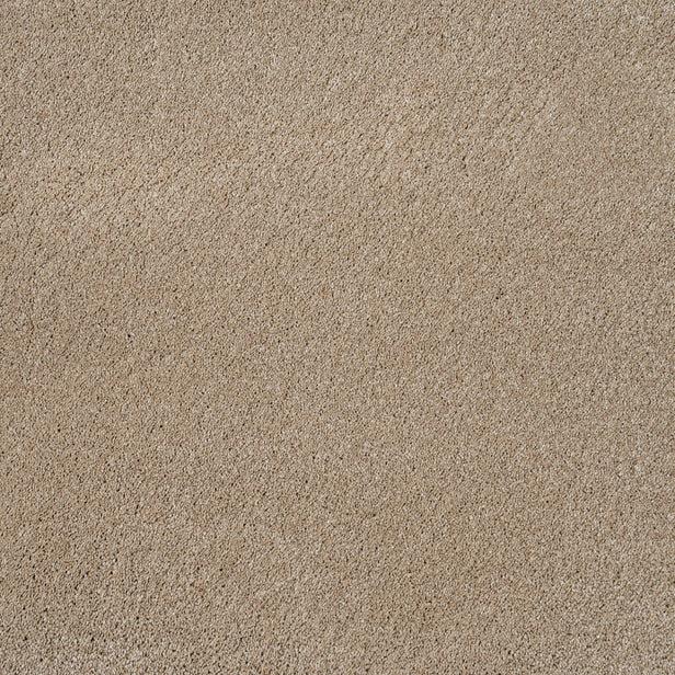 Sandcastle 35 Magnificus Invictus Supreme Carpet