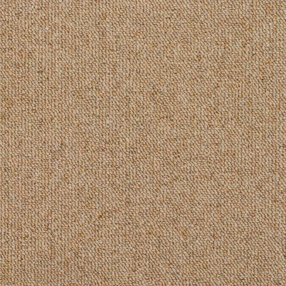Sandcastle Ralph Loop Sandcastle 700 Prestige Design Loop Carpet | Loop Carpets | Online Carpets