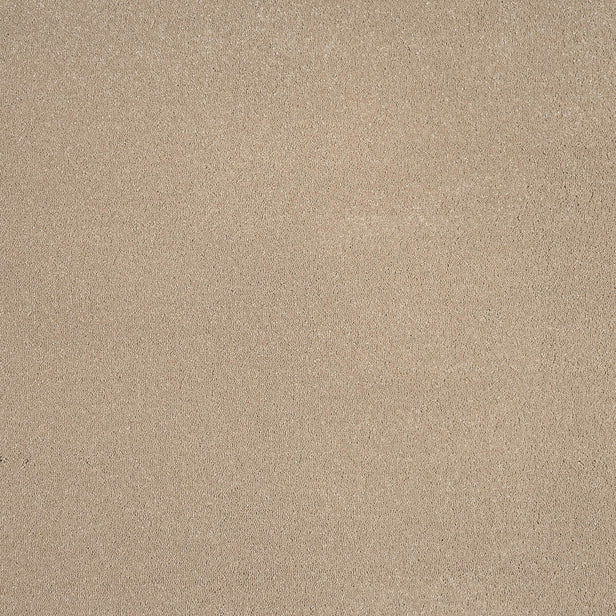 Sandstone 37 Taurus Invictus Carpet