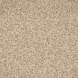 Sandstone Primo Naturals Carpet by Cormar