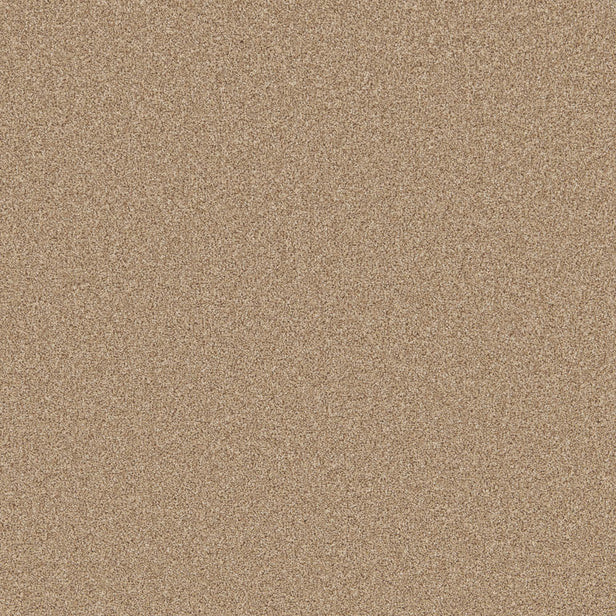 Sandstone Primo Naturals Carpet by Cormar
