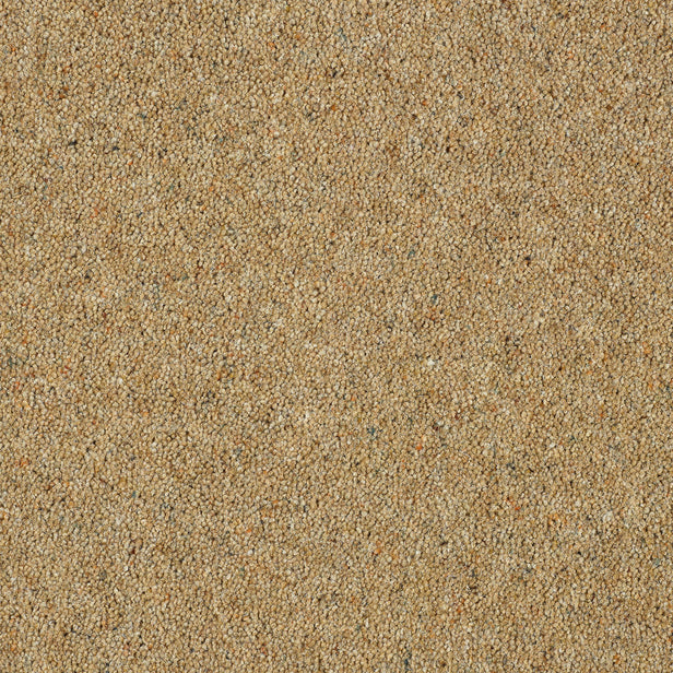Sandstone Royal Windsor Charter Berber Deluxe Carpet by Abingdon