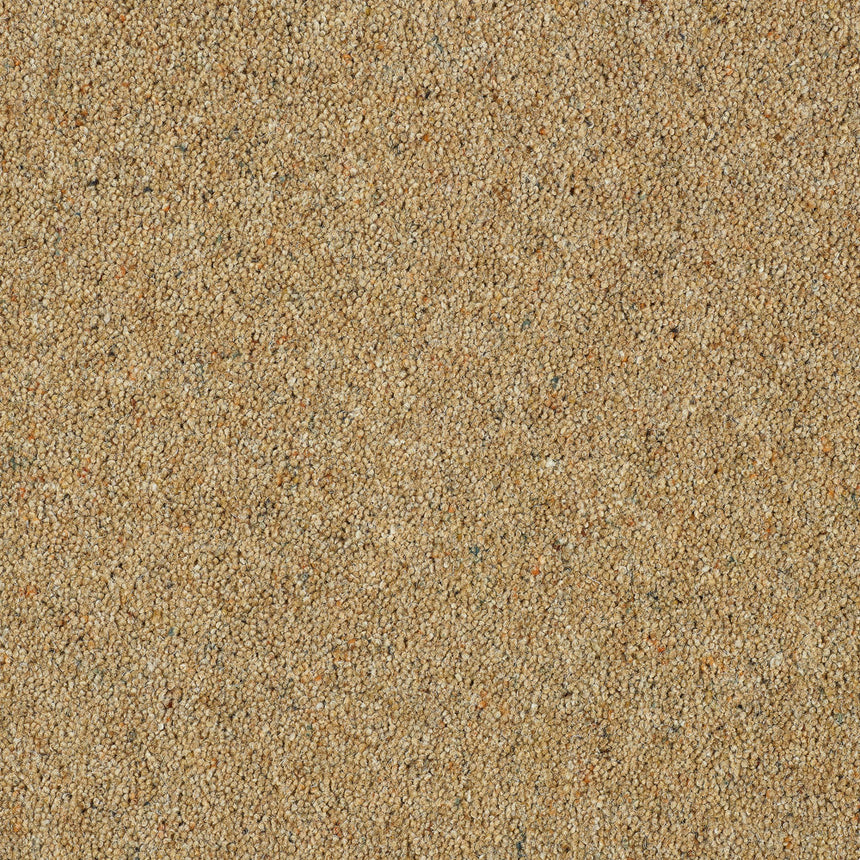 Royal Windsor Charter Berber Deluxe Carpet by Abingdon