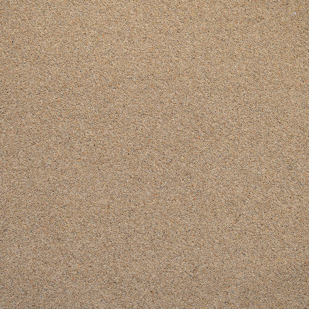 Sandstone Wilton Royal Charter Berber Deluxe Carpet by Abingdon