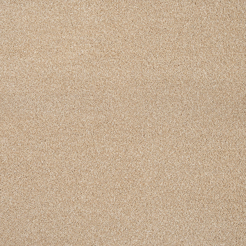 Soft Noble Saxony Carpet Clearance