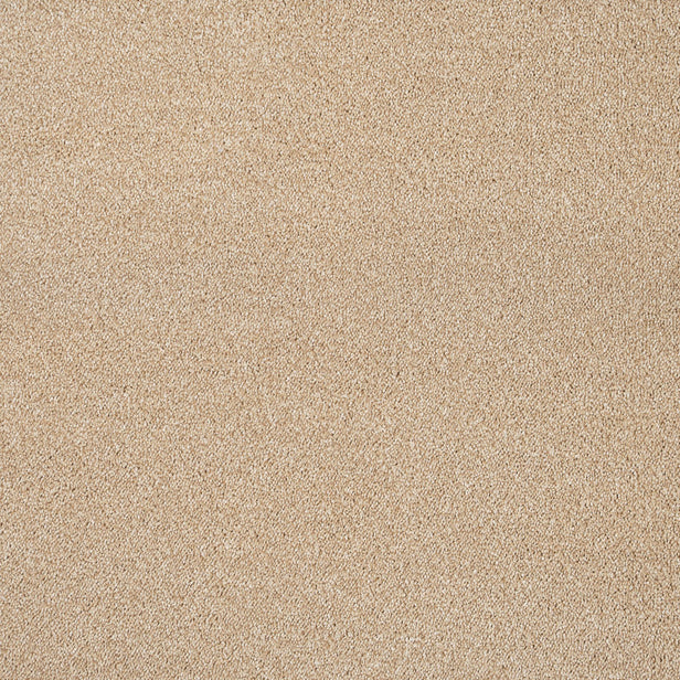 Sandy Beige 64 Soft Noble Saxony Carpet Clearance