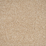 Sandy Beige 64 Soft Noble Saxony Carpet Clearance