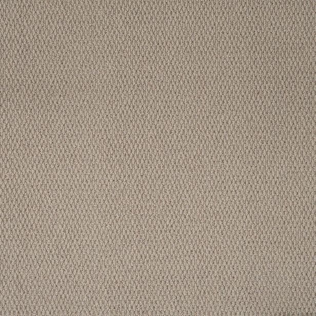 Sandy Beige Florida Loop Carpet