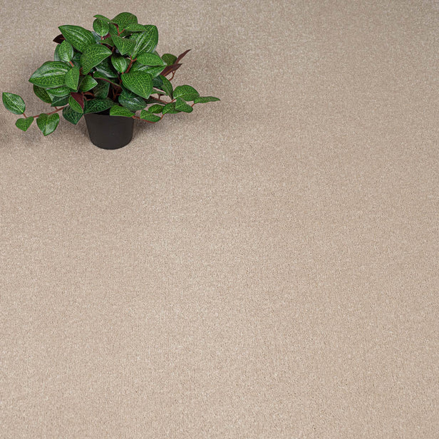 Sandy Beige Hartwell Saxony Carpet
