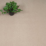 Sandy Beige Hartwell Saxony Carpet