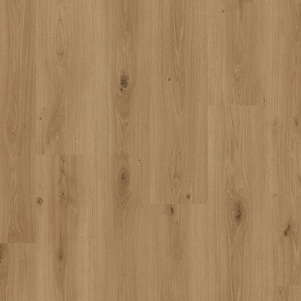 Saturn Oak 61066 Livanti 8mm Laminate Flooring by Balterio