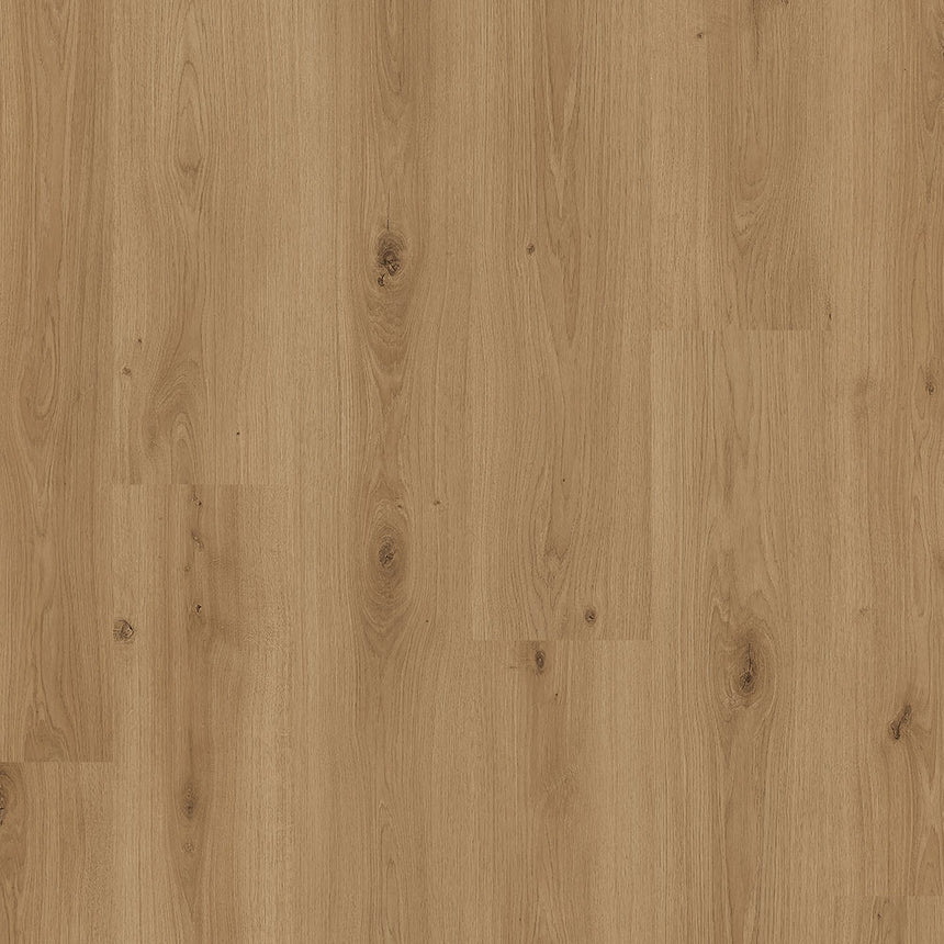 Saturn Oak 61066 Livanti 8mm Laminate Flooring by Balterio