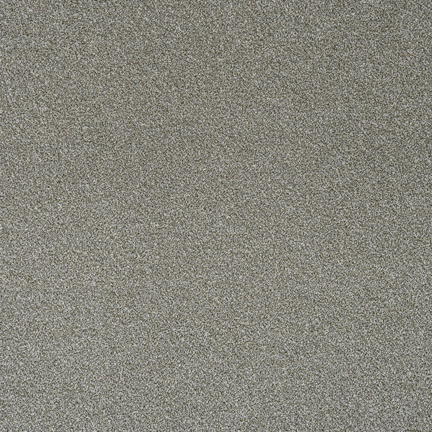 Sedge Stainfree Rustique Ultra Carpet by Abingdon