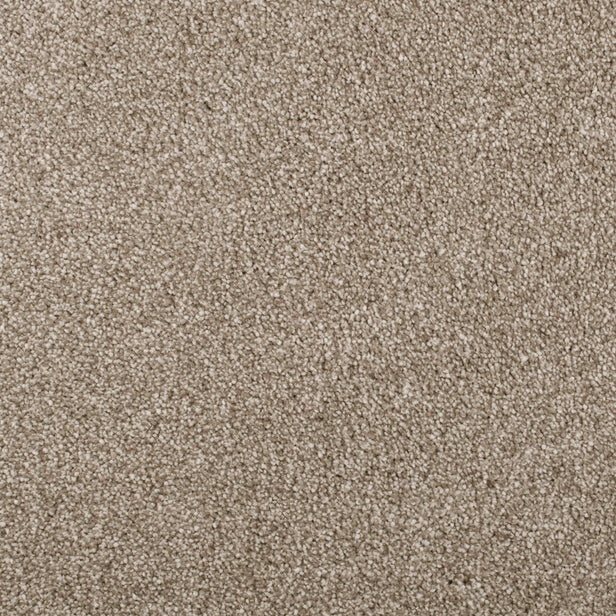 Sable Sensation Heathers 60oz Carpet 7.2m x 5m Remnant
