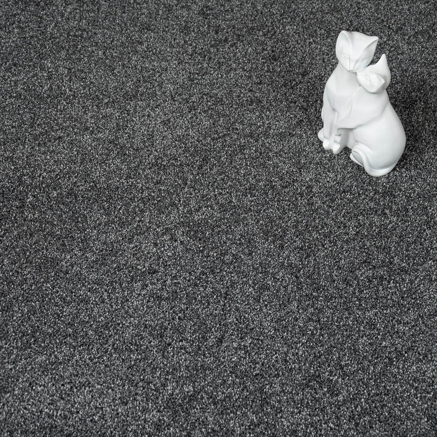 Sesame 99 Cassius 70oz Invictus Carpet