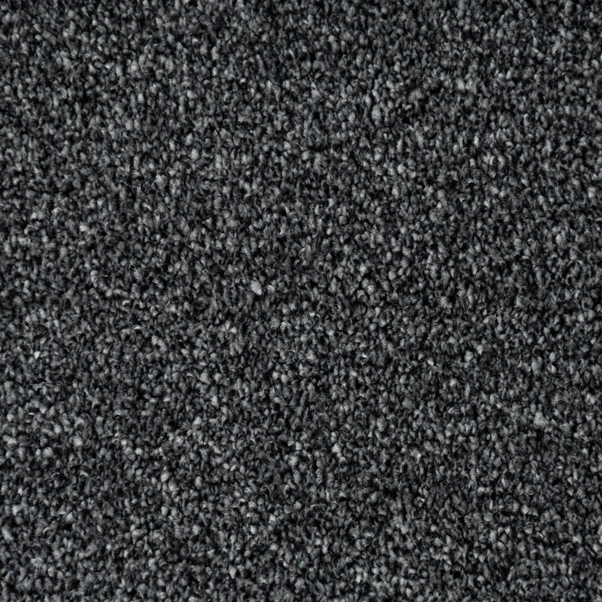 Sesame 99 Darius 50oz Invictus Carpet