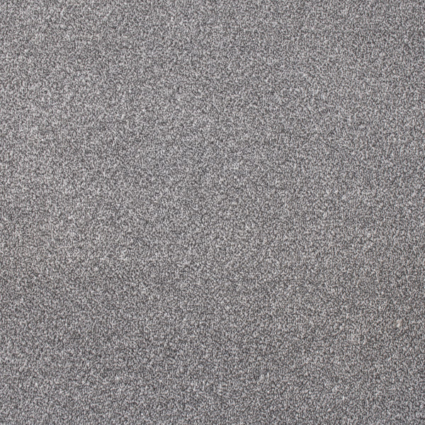 Shadow Coast Twist Carpet Clearance