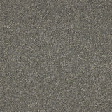 Stainfree Knightsbridge Berber Carpet by Abingdon