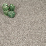 Shell Harewood Saxony Carpet