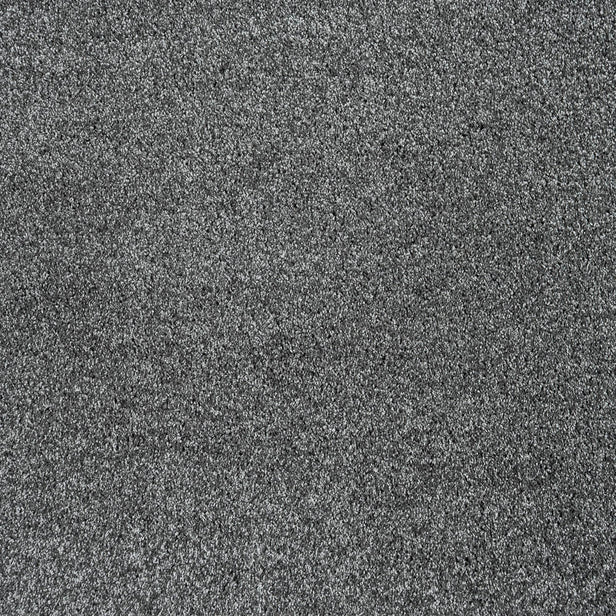 Shoreline 95 Dorado 56oz Invictus Gaia Carpet