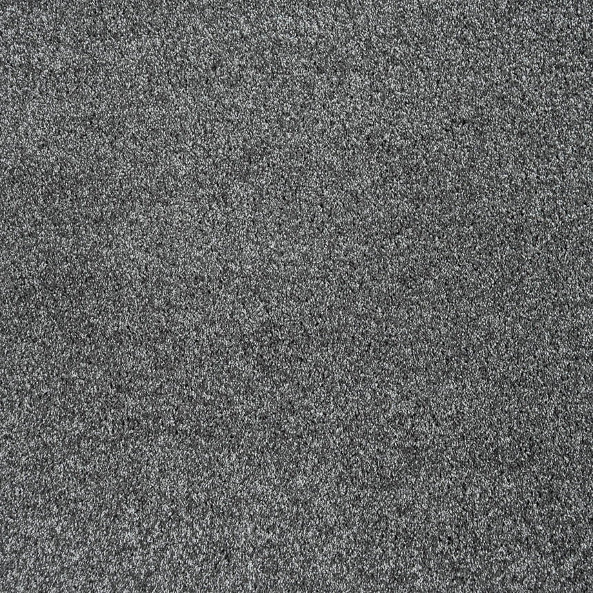 Shoreline 95 Dorado 56oz Invictus Gaia Carpet