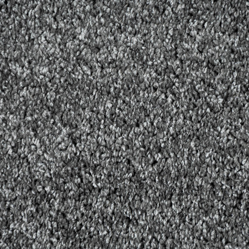 Shoreline 95 Dorado 56oz Invictus Gaia Carpet