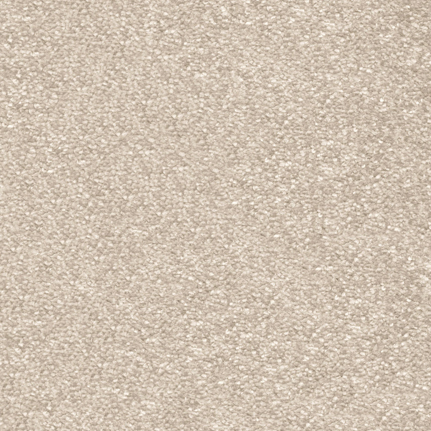 Shortbread 31 Centurion Invictus Carpet