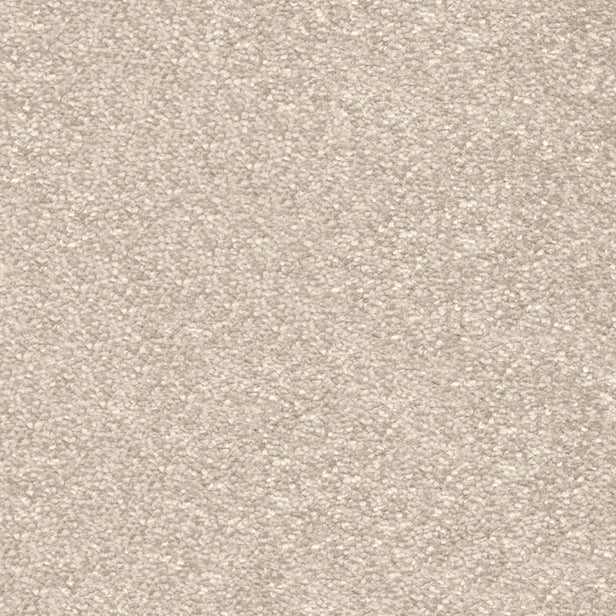 Shortbread 31 Centurion Invictus Carpet