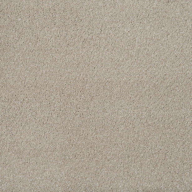 Shortbread 31 Magnificus Invictus Supreme Carpet