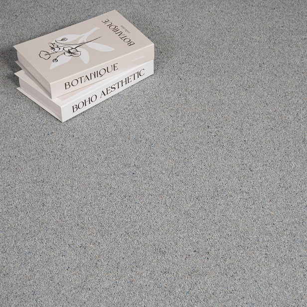 Silhouette Wilton Royal Charter Berber Deluxe Carpet by Abingdon