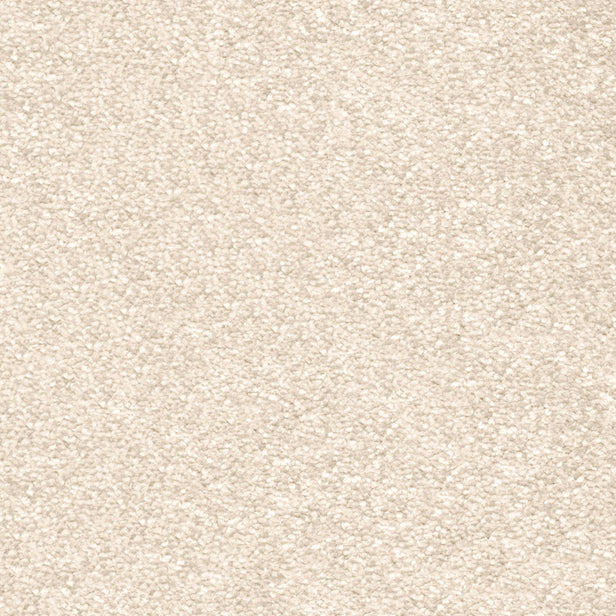 Silkworm 30 Centurion Invictus Carpet