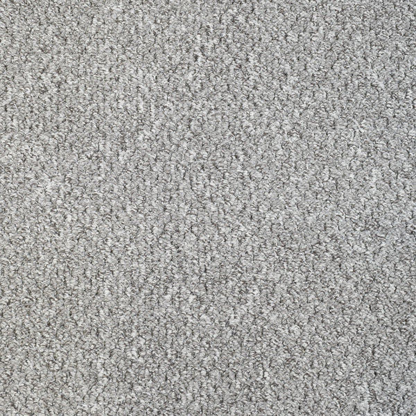 Silver Alabama Loop Carpet