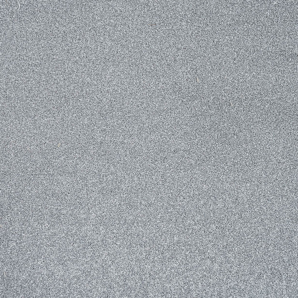 Silver Birch 11 Stainfree Rustique Saxony Carpet by Abingdon